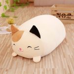peluche chat bicolore squishmallow