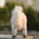 peluche Disney aventure cheval