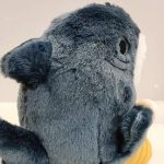 requin chaton en peluche câlin